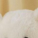 Ірина Швець фотография #23 (источник - https://vk.com/id146166672)