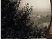 Олінька Пех фотография #8 (источник - https://vk.com/id146632469)