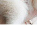 Надя Бабійчук фотография #10 (источник - https://vk.com/id147804112)