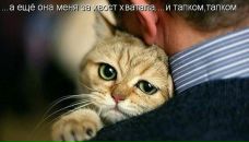Фотография Францевой Нины