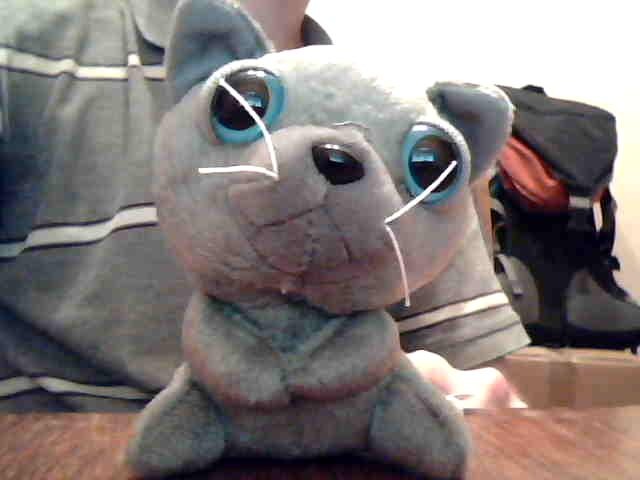 Семён Варфоломеев фотография #21