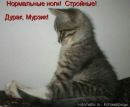 Фотография Назерке Ходжабаева