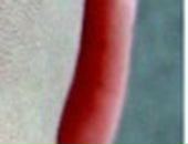 Марішта Боровська фотография #12 (источник - https://vk.com/id123799628)