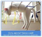 Фотография Леонтьева Андрея