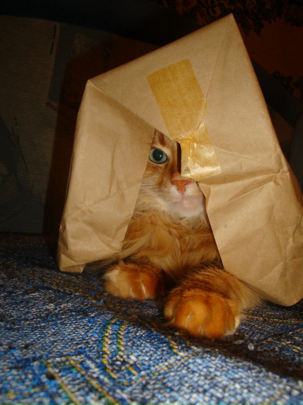 Сергей Лебедев фотография #47