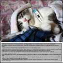 Фотография Попковой Анастасии