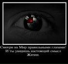 Фотография Егорушкина Сергея