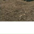 Сергій Гельжинський фотография #50 (источник - https://vk.com/id136744128)