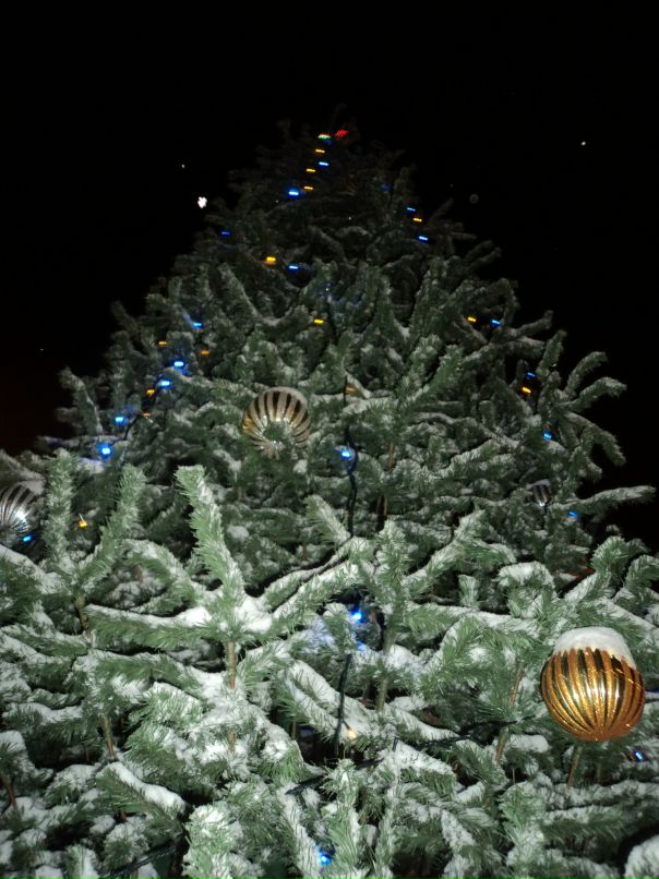 Диана Хисматова фотография #5