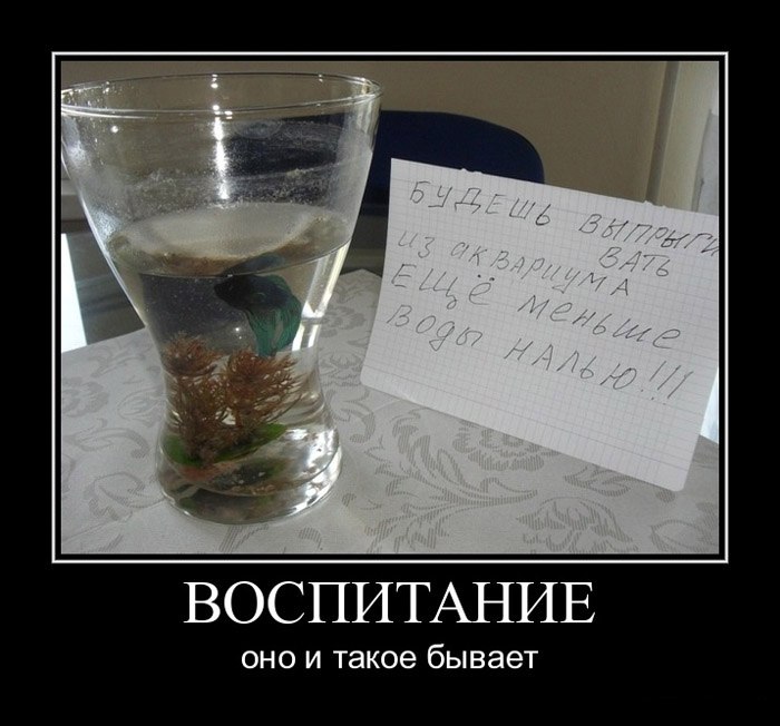 Дмитрий Отрощенко фотография #46