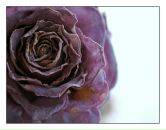 Фотография Федотовский Андрей