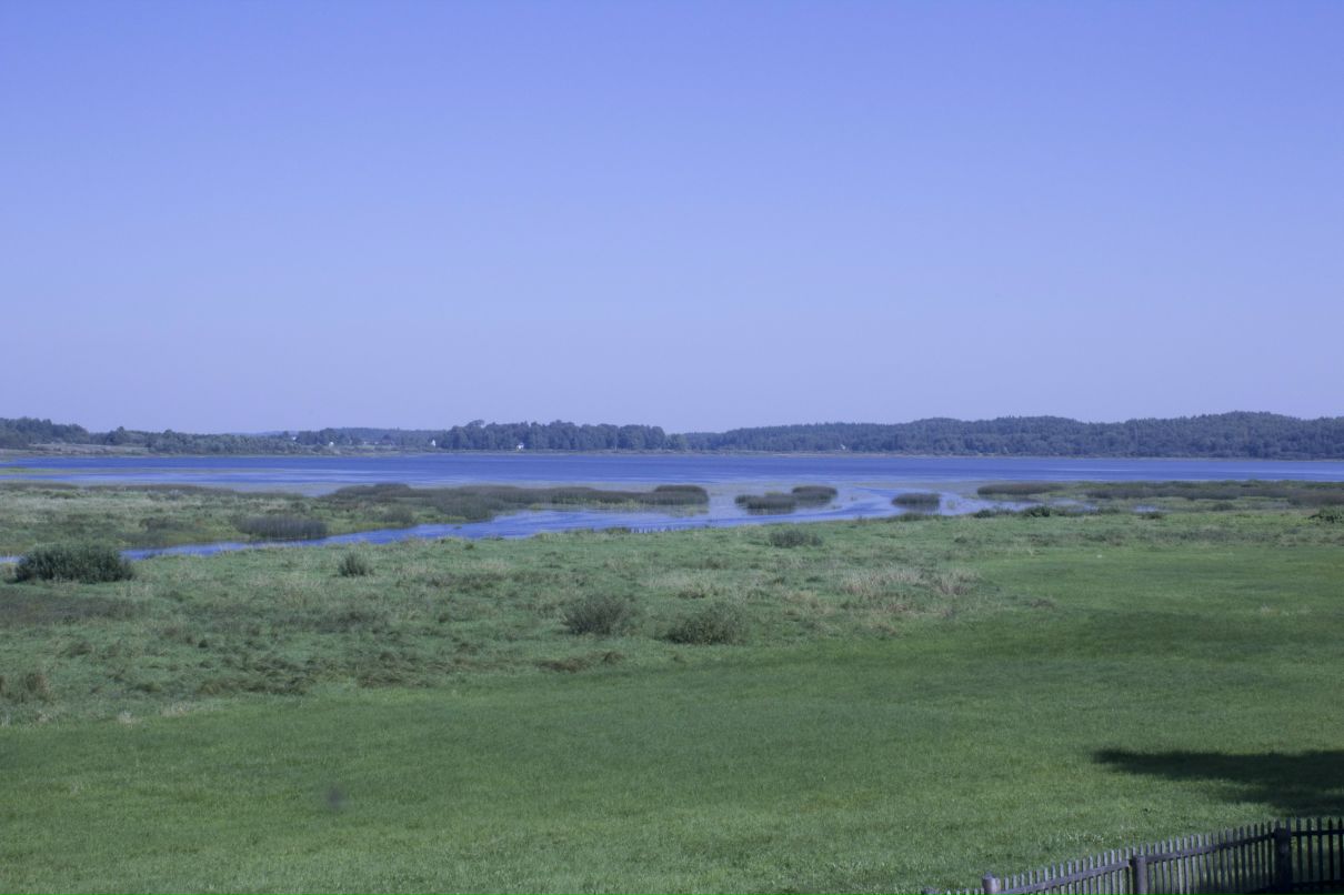 Елена Иванова фотография #18