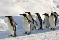 Фотография Вялковой Ольги