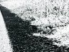 Анастасія Микулянич фотография #46 (источник - https://vk.com/id157328514)