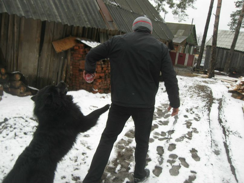 Дмитрий Худяков фотография #20