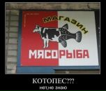 Фотография Сизых Дмитрия