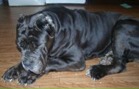 Фотография Якуповой Елены