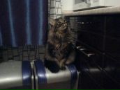 Михаил Антонов фотография #46 (источник - https://vk.com/id3360814)