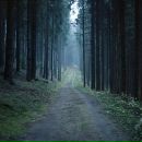 Фотография Малаховой Катерины