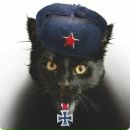 Андрій Мигаль фотография #18 (источник - https://vk.com/id147857833)