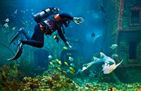 Евгений Евсеев фотография #38 (источник - https://vk.com/id55294131)