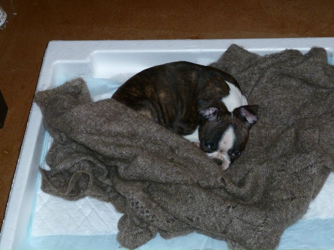 Дмитрий Павличенко фотография #35