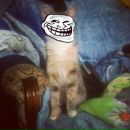 Vse_delo_v Techno фотография #47 (источник - https://vk.com/id71469115)