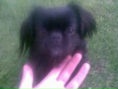 Соломія Марунчак фотография #35 (источник - https://vk.com/id108232932)