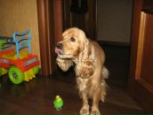 Фотография Михайлова Александра