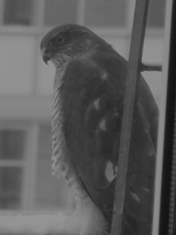 Матвей Волков фотография #44