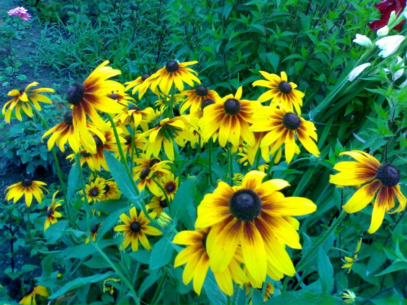 Анна Остапенко фото №1