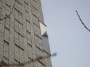 Мирослав Білецький фотография #13 (источник - https://vk.com/id168178725)