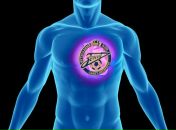 Фотография Литвина Владислава