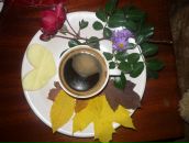 Ірина Дзісь фотография #42 (источник - https://vk.com/id29033907)