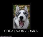 Стас Гребиньский фотография #10 (источник - https://vk.com/id85393011)