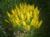 Фотография Шипуновой Татьяны