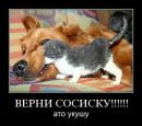 Діма Добрянський фотография #1