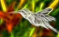 Фотография Гагарской Светланы