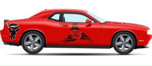 Сергій Куцейко фотография #28 (источник - https://vk.com/id94335660)