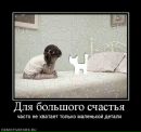 Фотография Афониной Екатерины