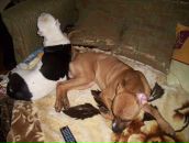 Назар Козоріз фотография #18 (источник - https://vk.com/id73048441)