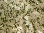 Світланка Маркович фотография #14 (источник - https://vk.com/id84053298)