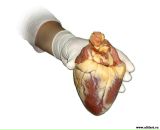 Фотография Першина Ильи