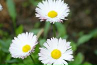 Фотография Шейко Ольги