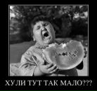 Руслан Мальцев фотография #17 (источник - https://vk.com/id643533)