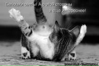 Іра Усік фотография #7 (источник - https://vk.com/id72539081)