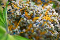 Дмитрий Арсентьев фотография #11 (источник - https://vk.com/id239494)