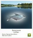 Ріхард Козьма фотография #9 (источник - https://vk.com/id133594969)