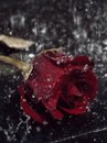 Вікуся Руденко фотография #21 (источник - https://vk.com/id156231651)