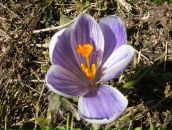 Фотография Кузнецовой Ирины